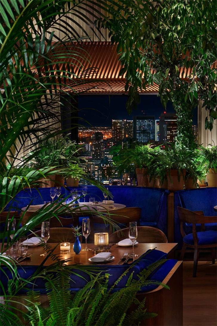 酒店用餐区绿植营造氛围