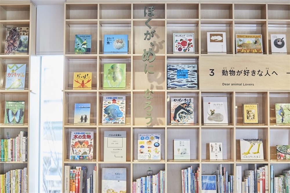 安藤忠雄作品：儿童图书森林 中之岛